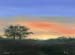 Savannah Sunrise